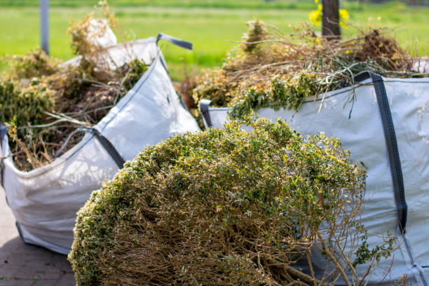Trusted Lower Grand Lagoon, FL Junk Removal Services Experts